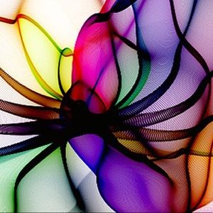 Meet your Posher, Deeann